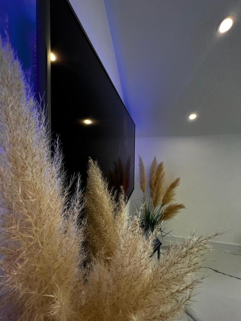 Luxury Apartment Megy Otočac Екстериор снимка
